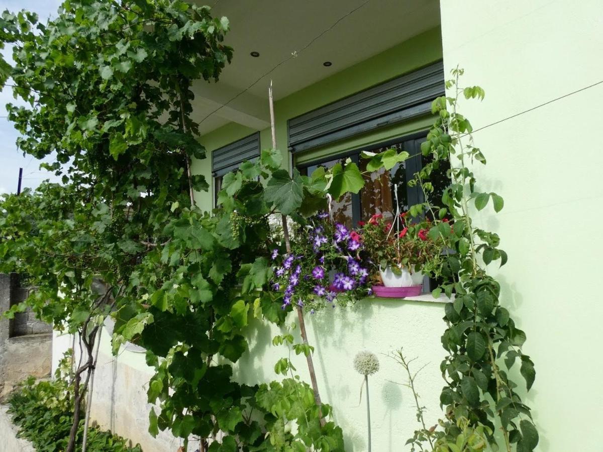 Guesthouse Aleksander Berat Kültér fotó